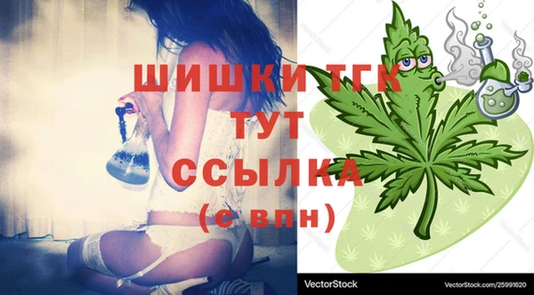 гашик Алексеевка