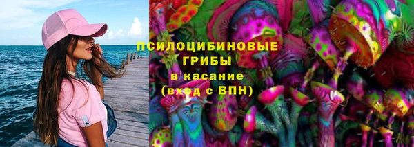 гашик Алексеевка