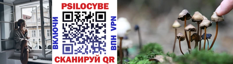как найти   Тюкалинск  Псилоцибиновые грибы Psilocybine cubensis 